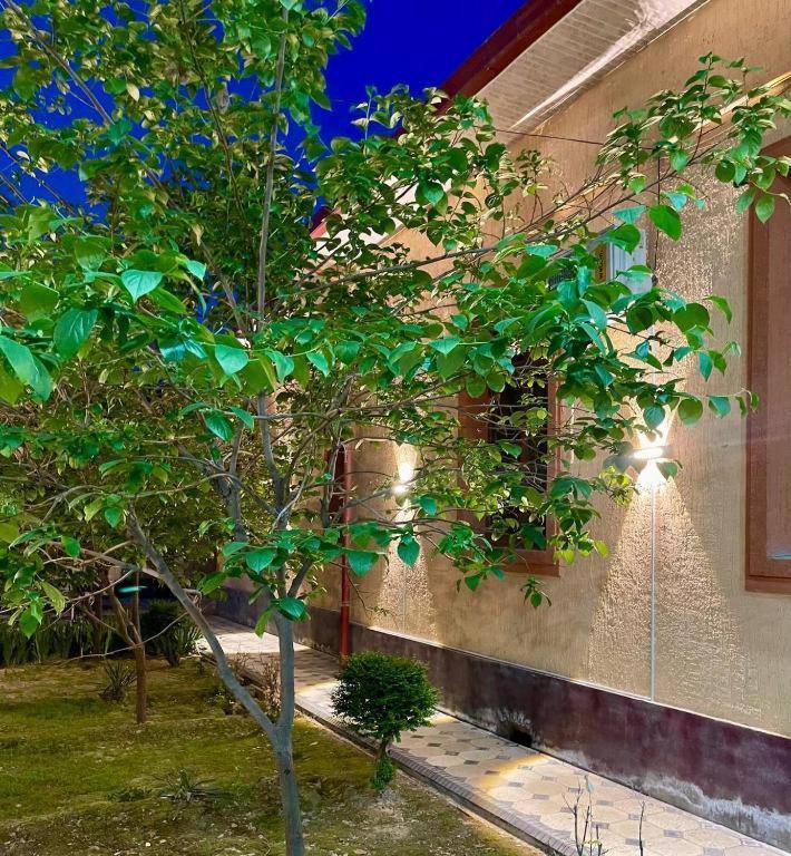 Amor Fati Hotel Tașkent Exterior foto